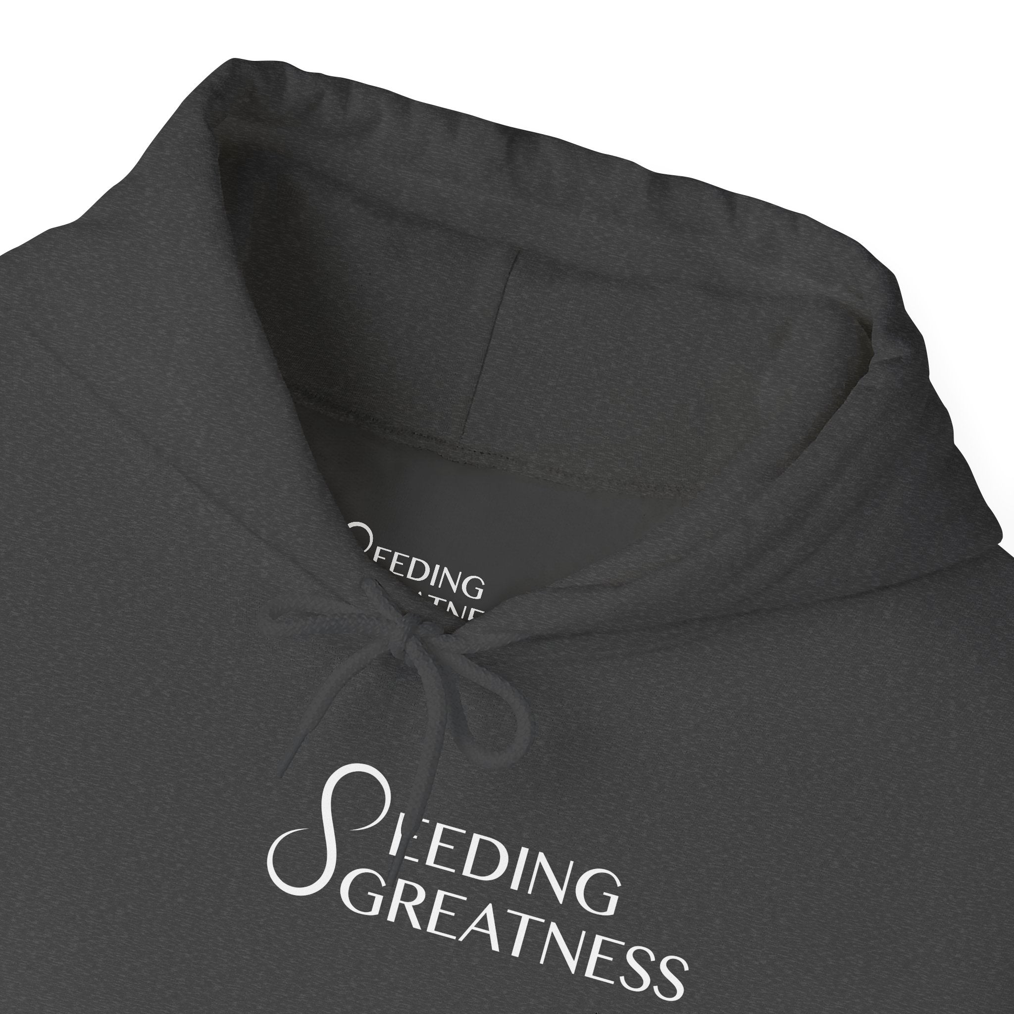 "Be a Blessing" Hoodie - Seeding Greatness Classic Logo