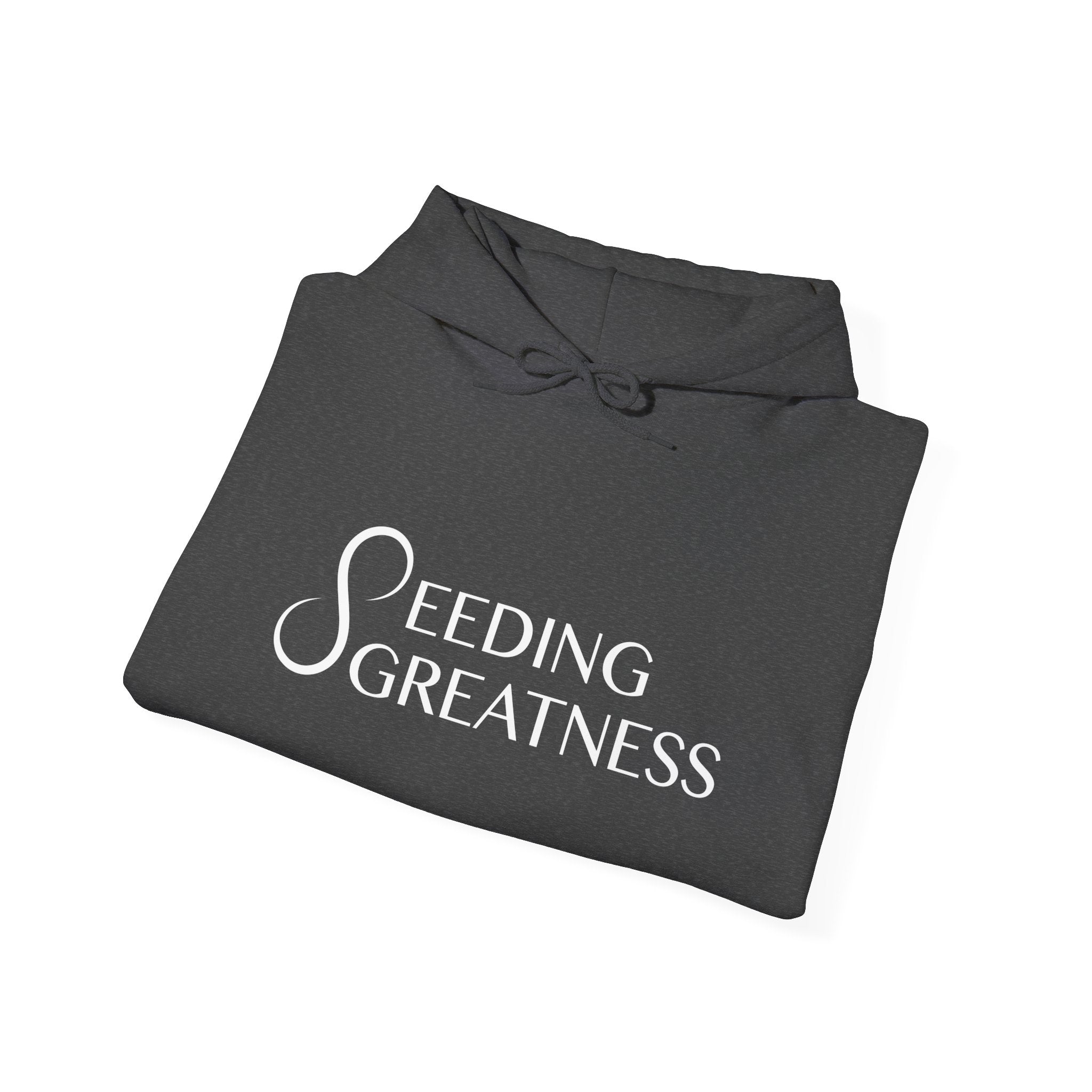 "Be a Blessing" Hoodie - Seeding Greatness Classic Logo