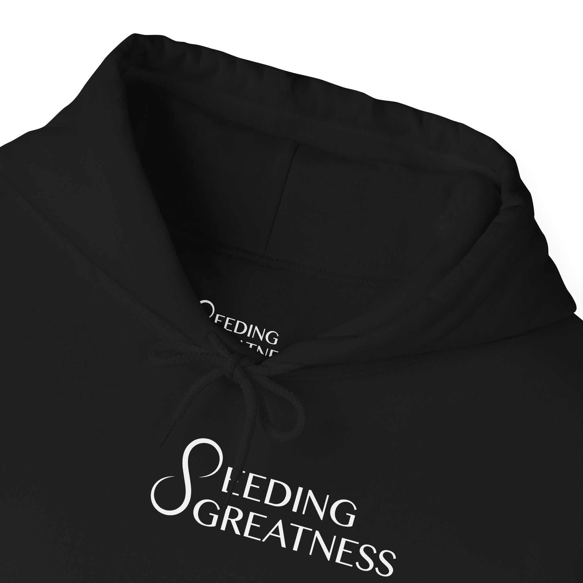 "Be a Blessing" Hoodie - Seeding Greatness Classic Logo