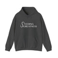 "Be a Blessing" Hoodie - Seeding Greatness Classic Logo
