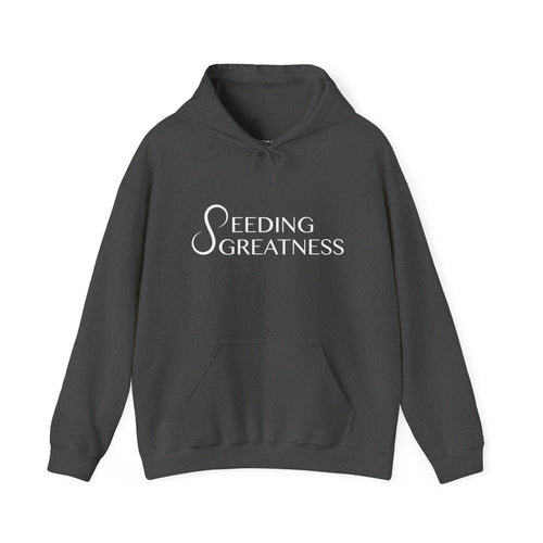 "Be a Blessing" Hoodie - Seeding Greatness Classic Logo