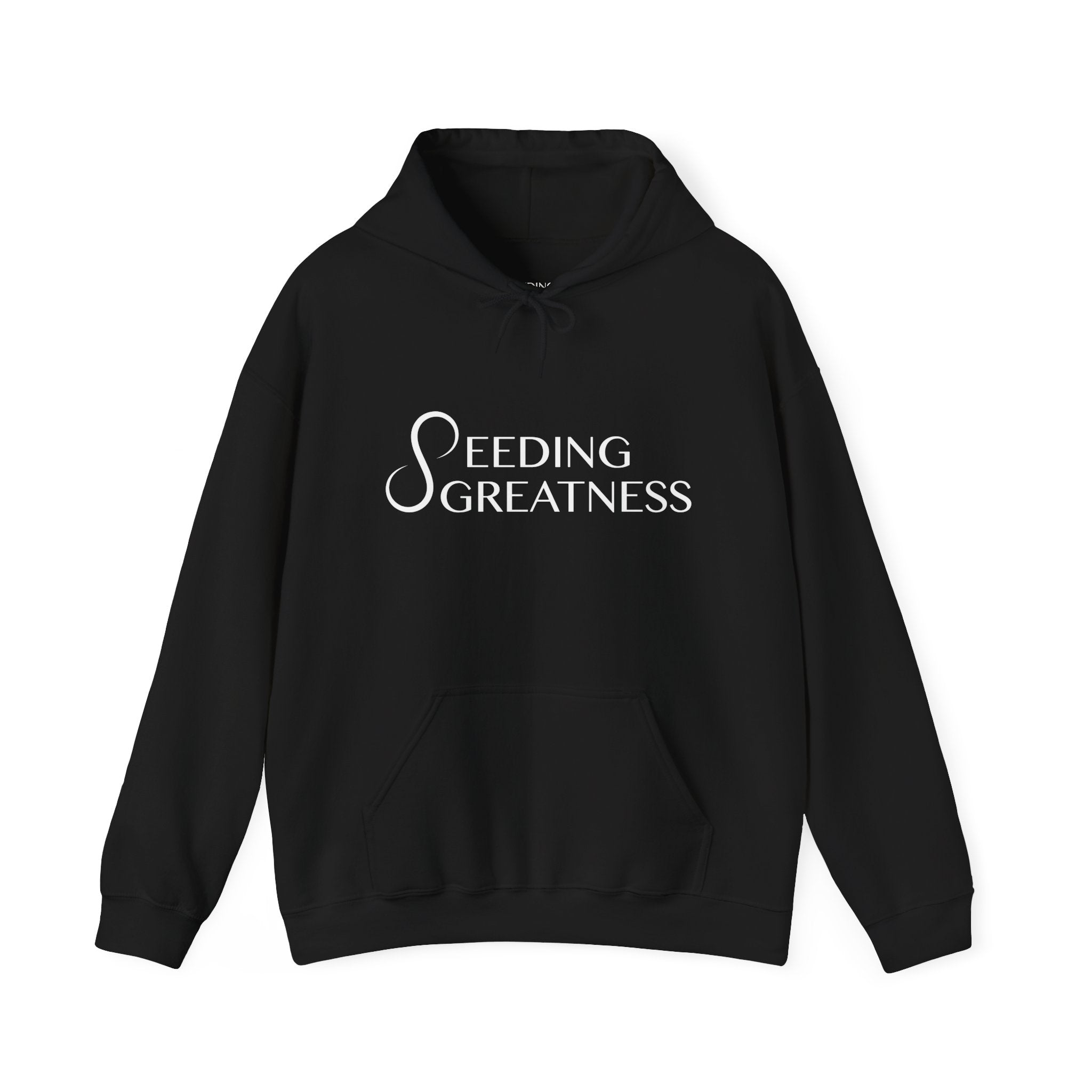 "Be a Blessing" Hoodie - Seeding Greatness Classic Logo