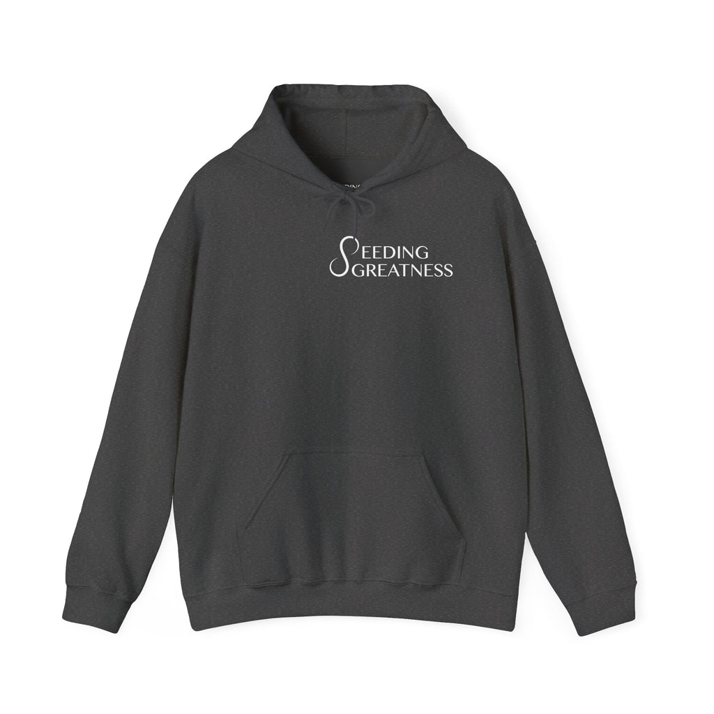 "Be a Blessing" Hoodie - Seeding Greatness Classic Logo