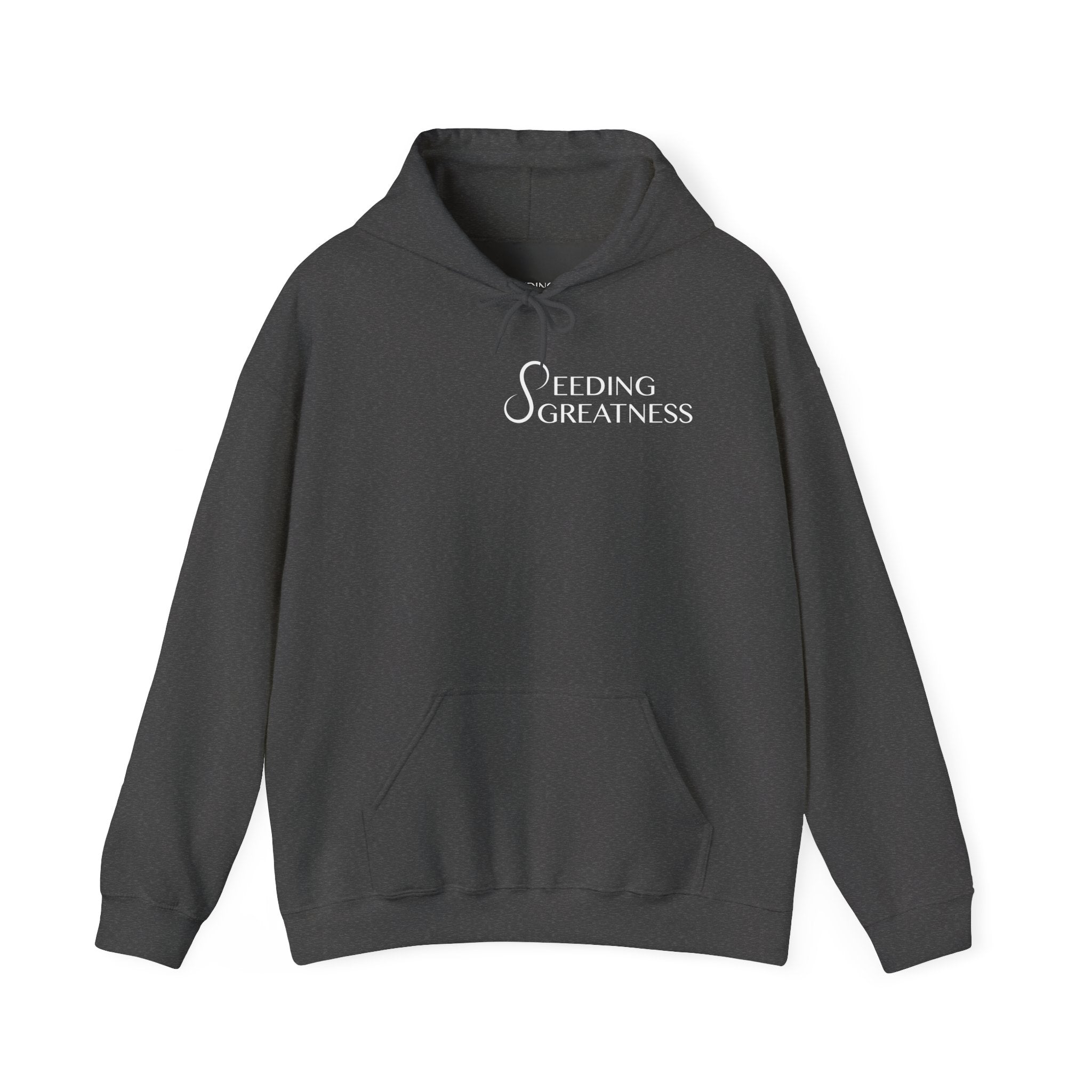 "Be a Blessing" Hoodie - Seeding Greatness Classic Logo