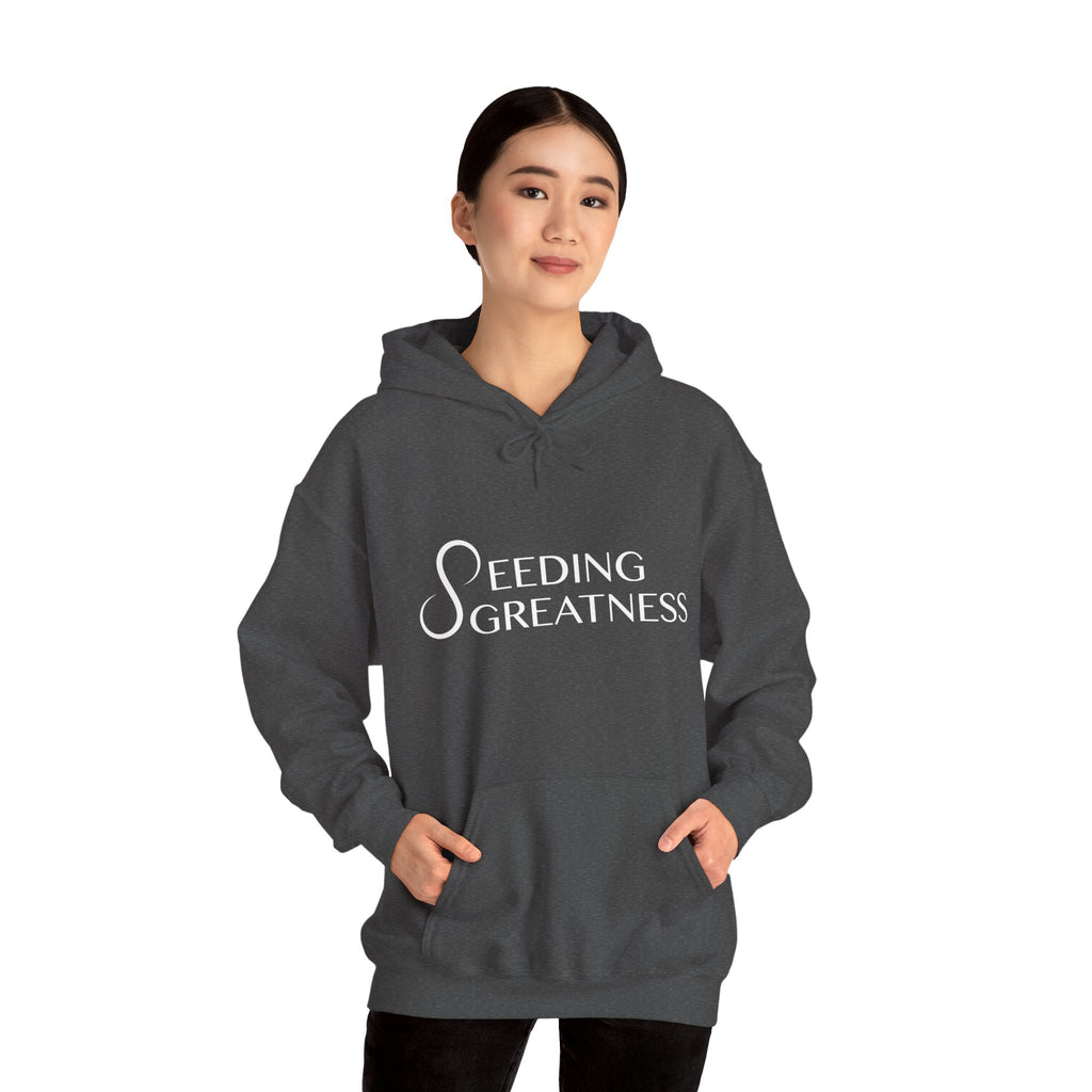 "Be a Blessing" Hoodie - Seeding Greatness Classic Logo