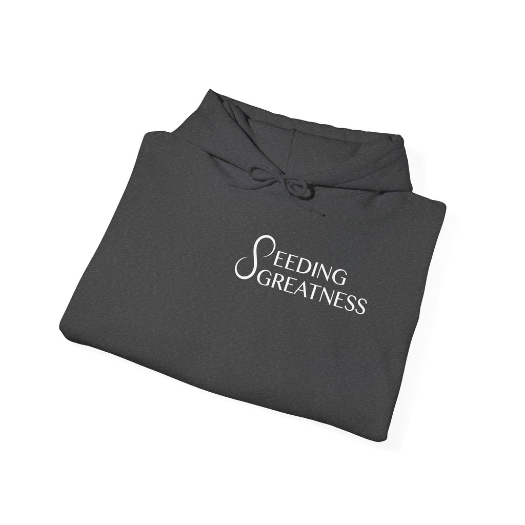 "Be a Blessing" Hoodie - Seeding Greatness Classic Logo