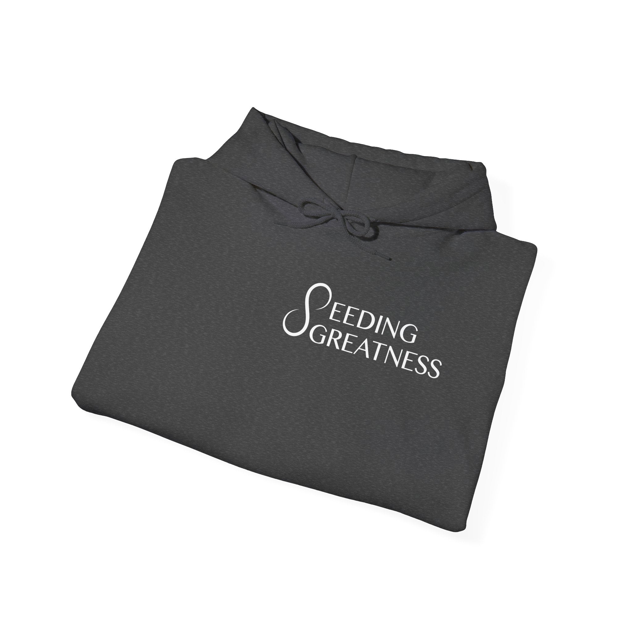 "Be a Blessing" Hoodie - Seeding Greatness Classic Logo
